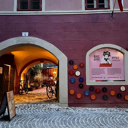 Muzikafe - Home Of Culture Птуй Екстериор снимка